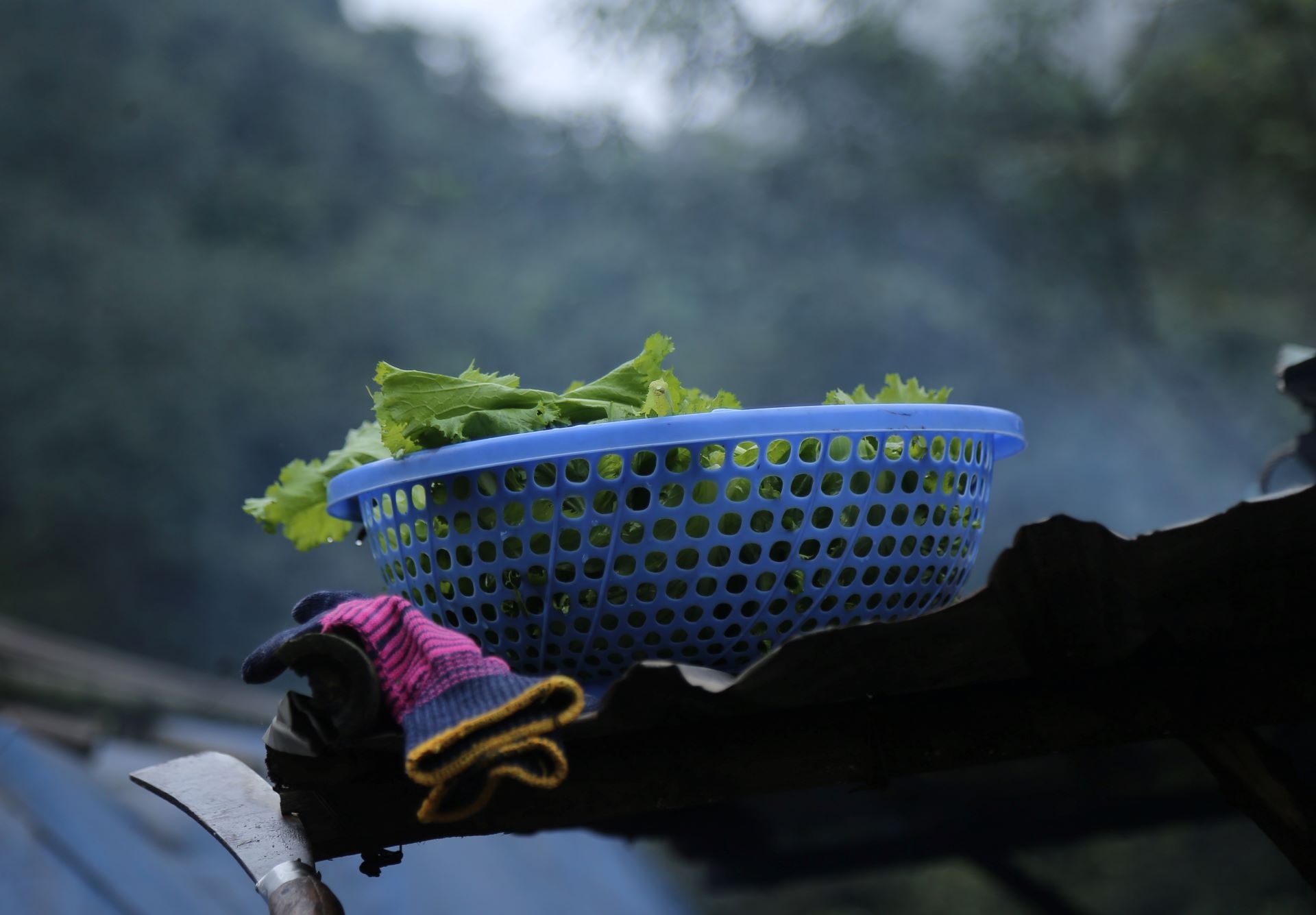 bien phong chong dich vung bien anh 12