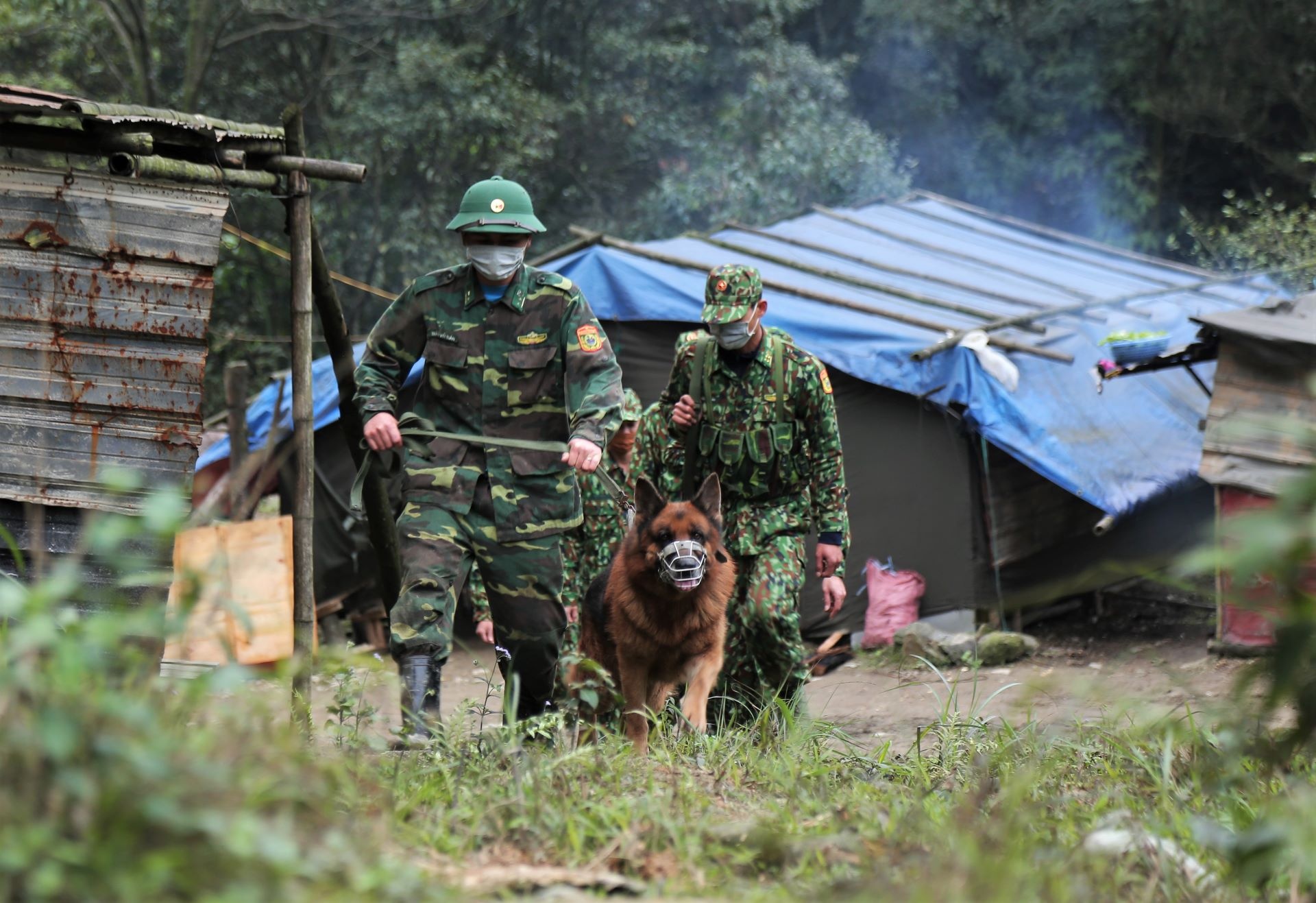 bien phong chong dich vung bien anh 4