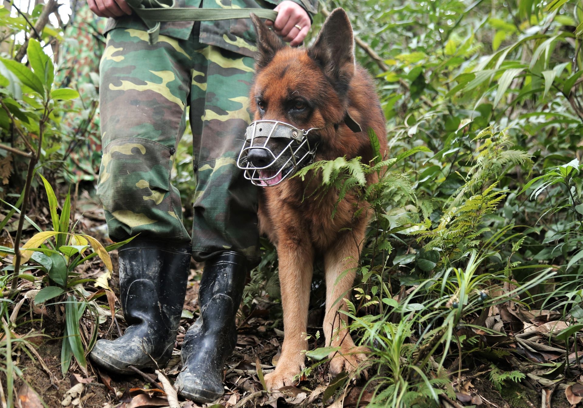 bien phong chong dich vung bien anh 6