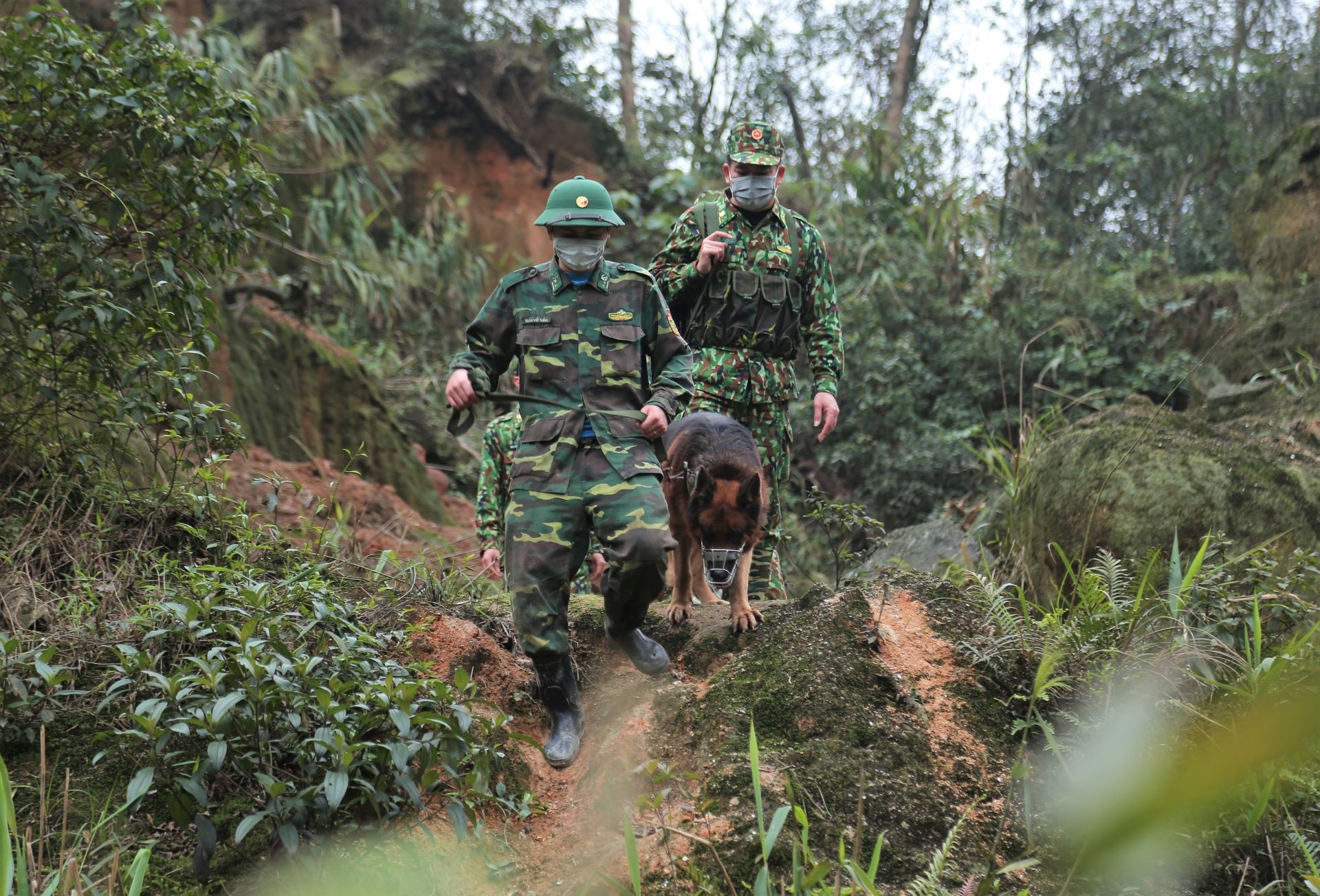 bien phong chong dich vung bien anh 7