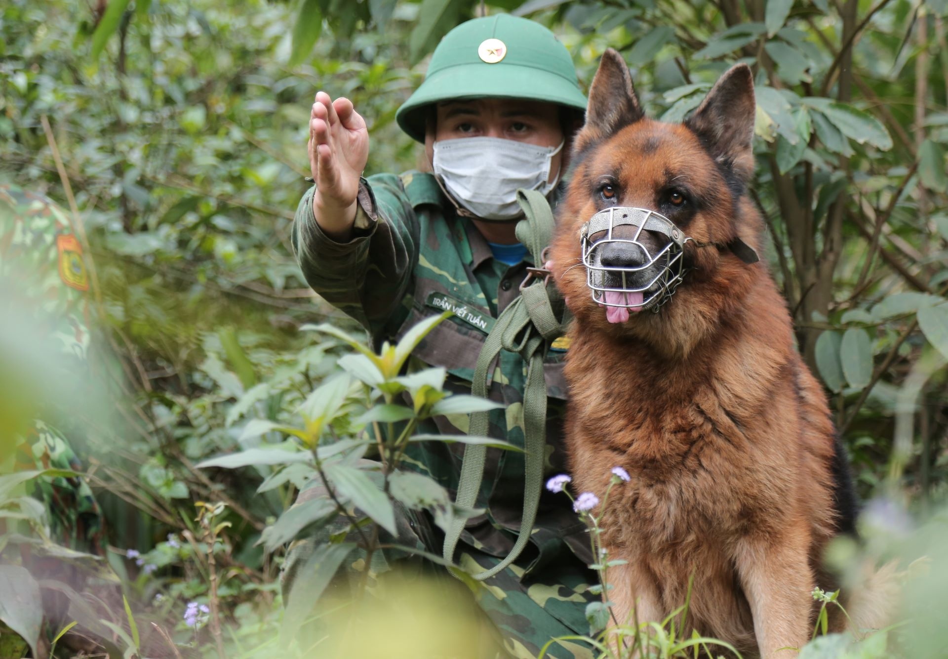 bien phong chong dich vung bien anh 8