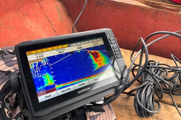 hậu duệ rùa Hoàn Kiếm ảnh 6 hau due rua Hoan Kiem anh 6