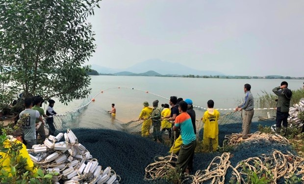 hậu duệ rùa Hoàn Kiếm ảnh 5 hau due rua Hoan Kiem anh 5