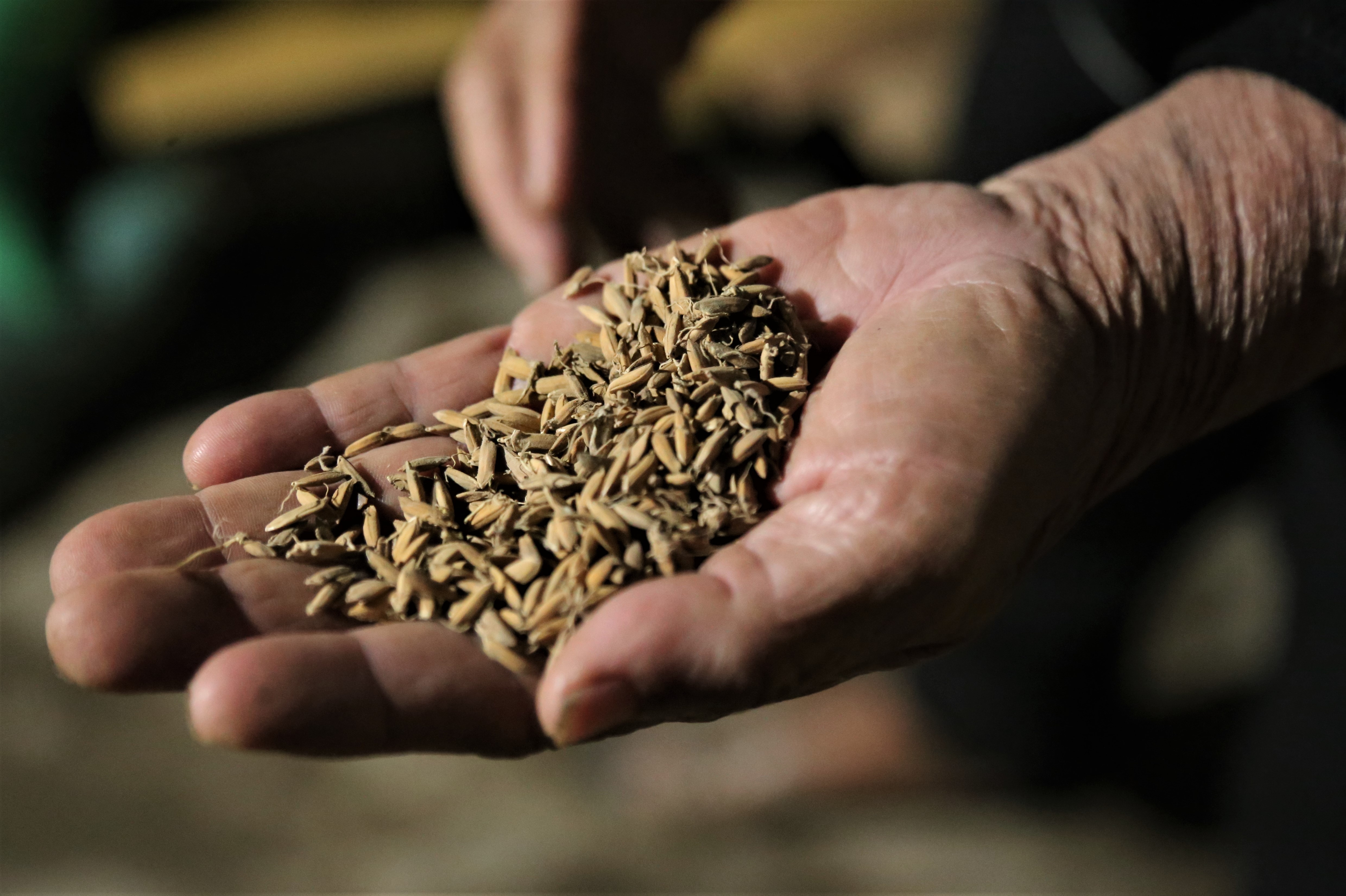 lu lut Quang Binh anh 3