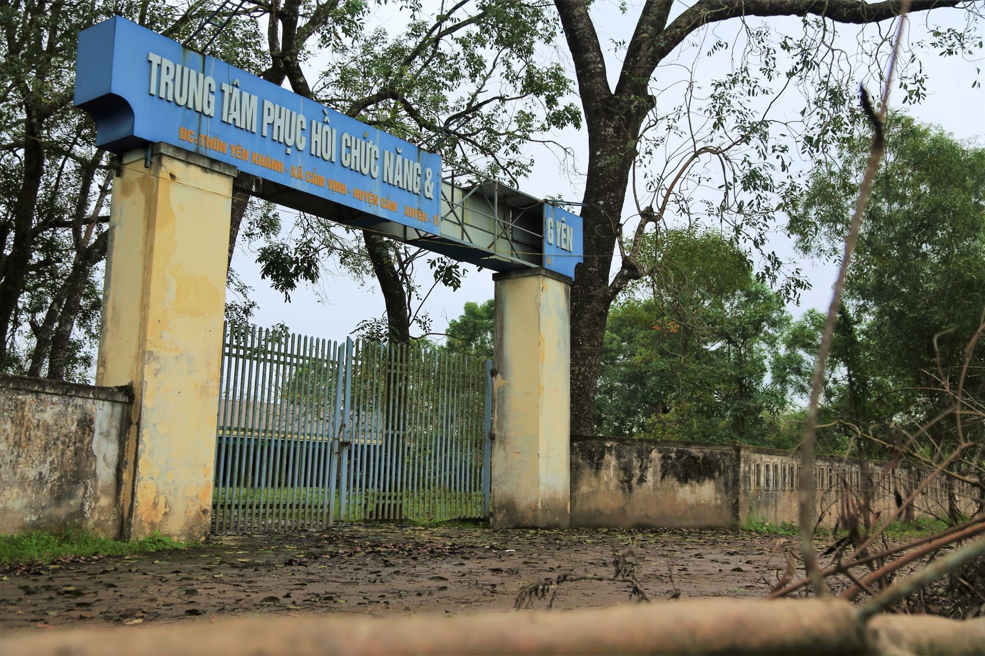 dac cach cho ong Vo Hoang Yen anh 3