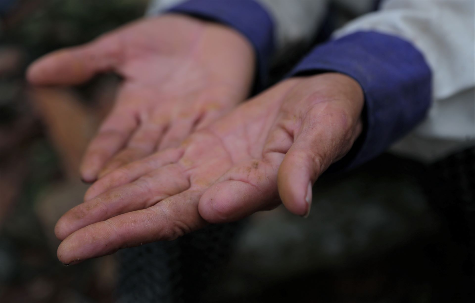 boc go keo thue anh 10