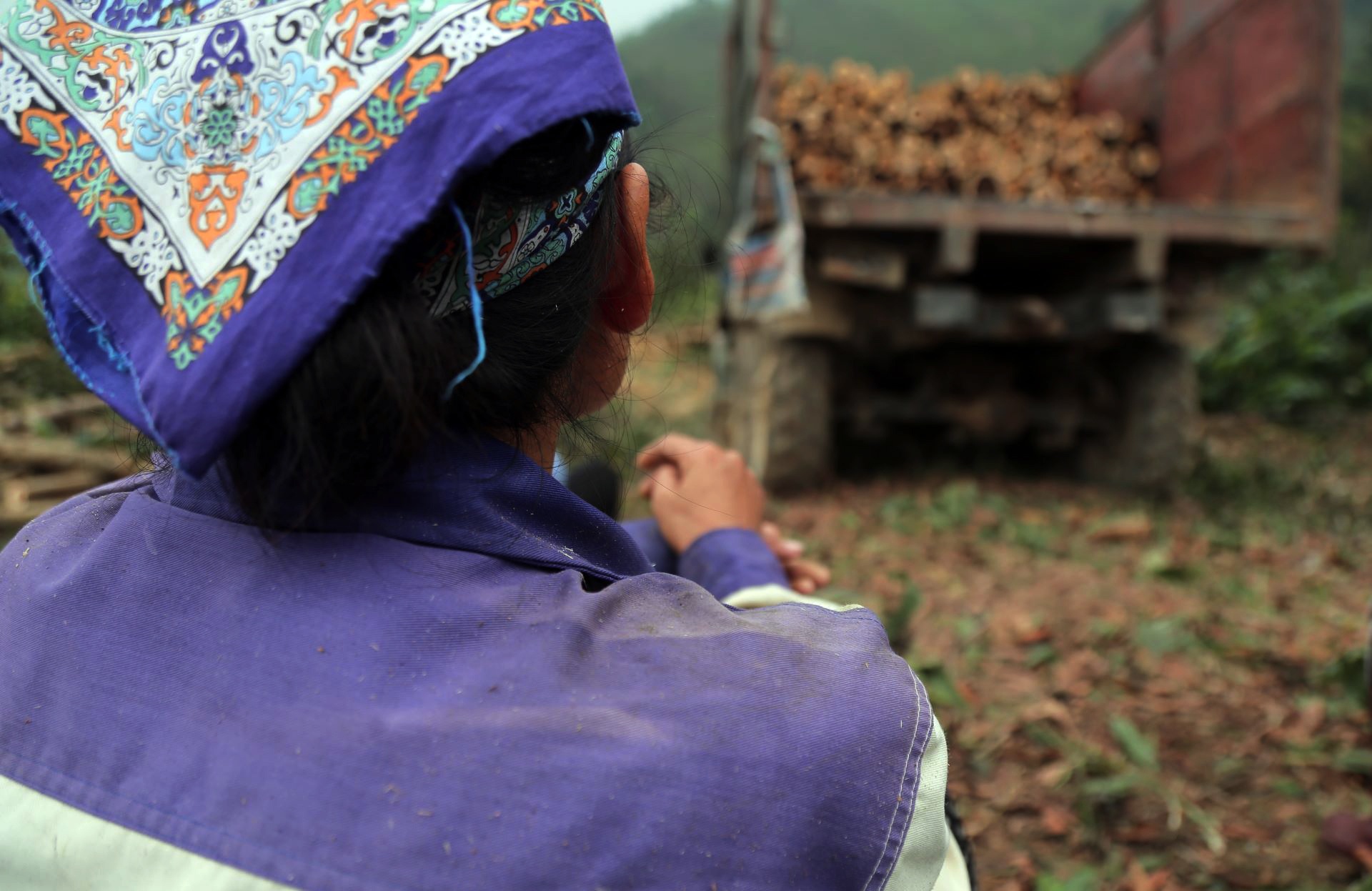 boc go keo thue anh 8