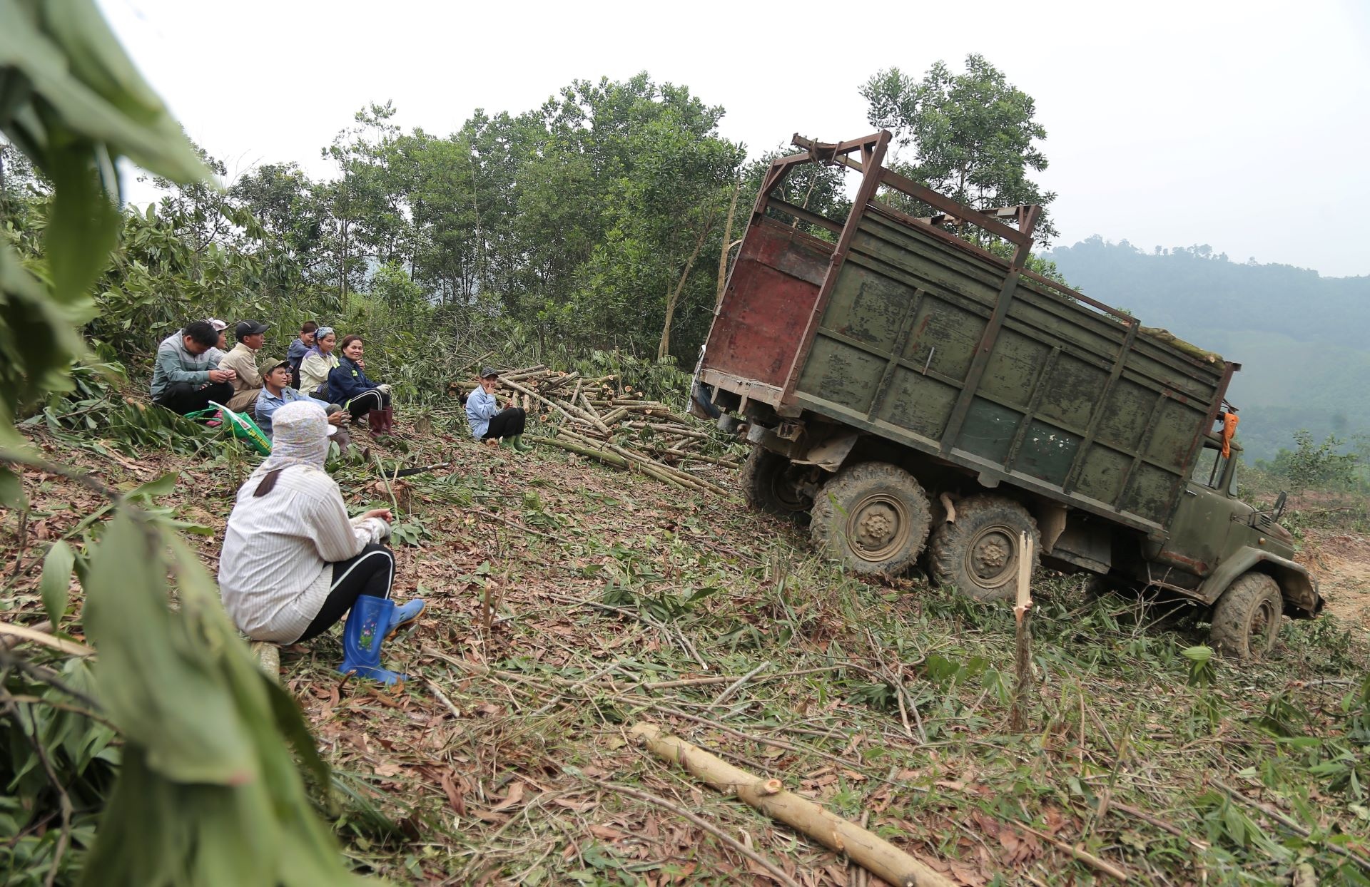 boc go keo thue anh 11