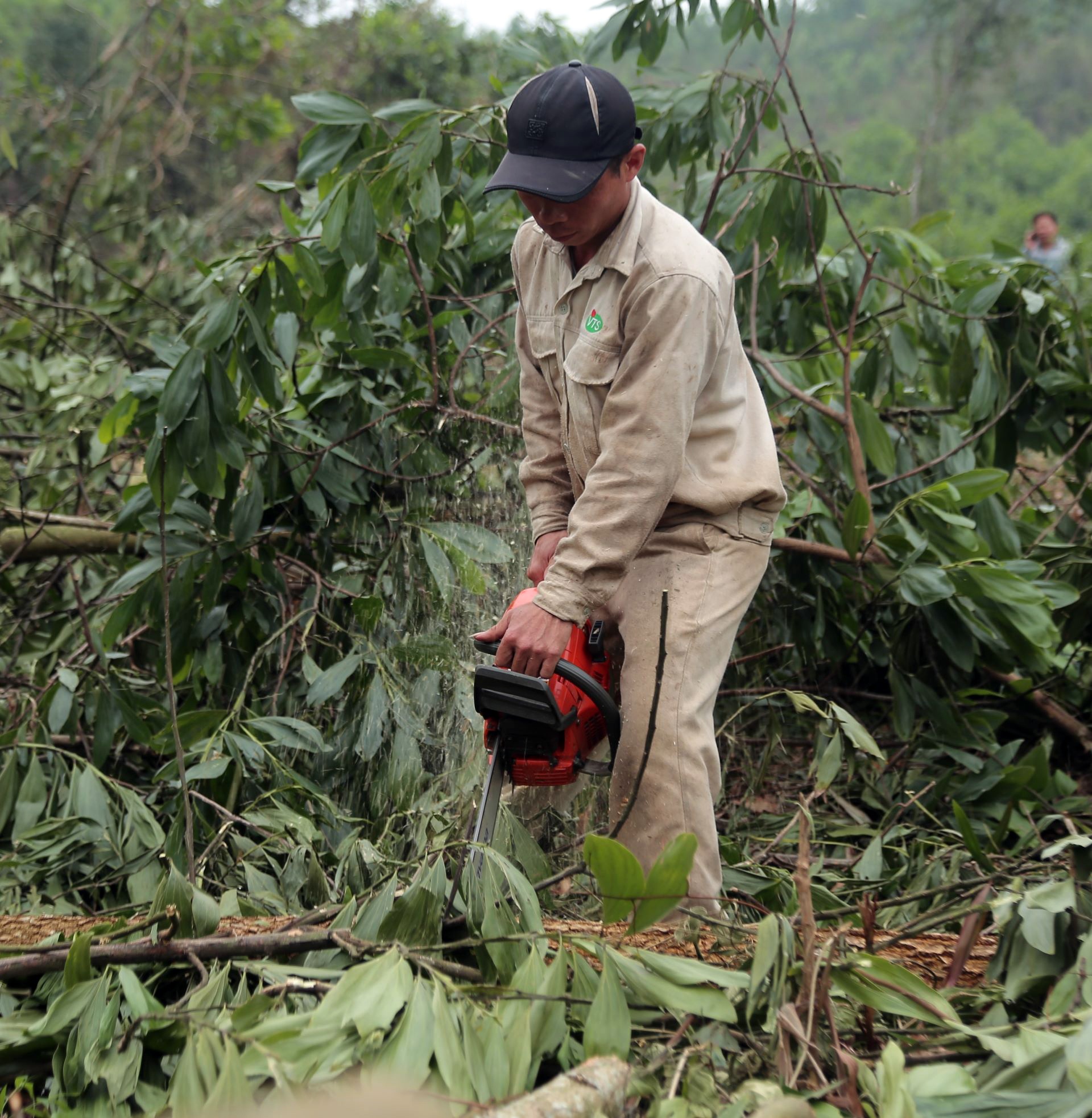 boc go keo thue anh 4