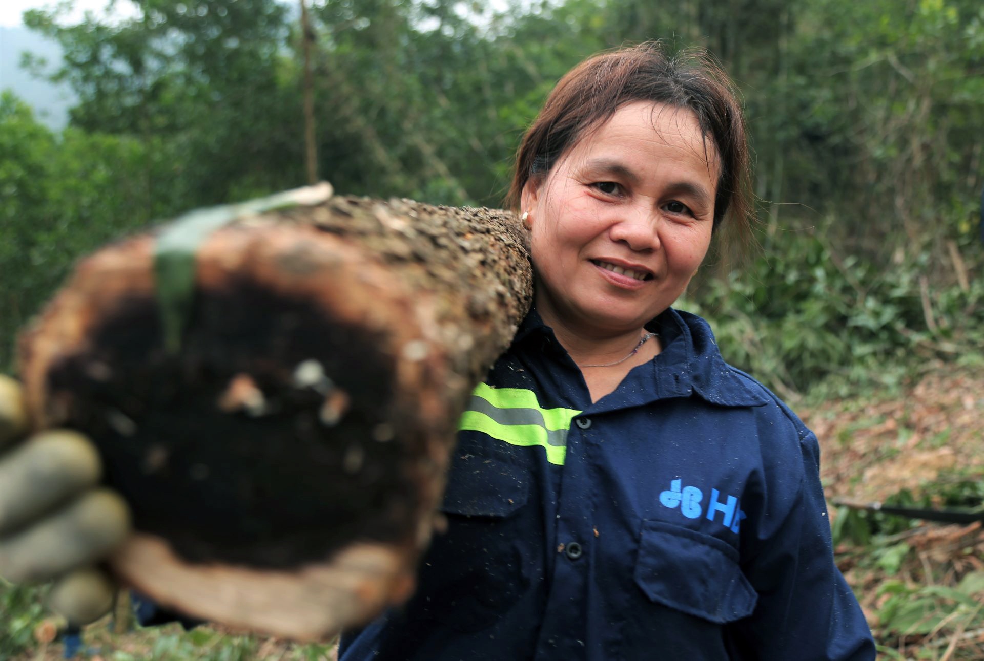 boc go keo thue anh 7