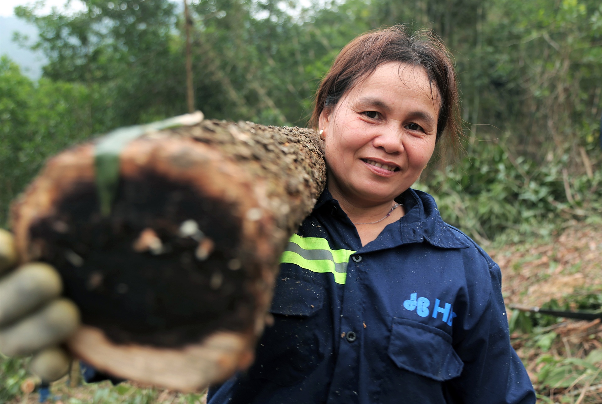 Nghe phu go keo o vung cao Thanh Hoa hinh anh