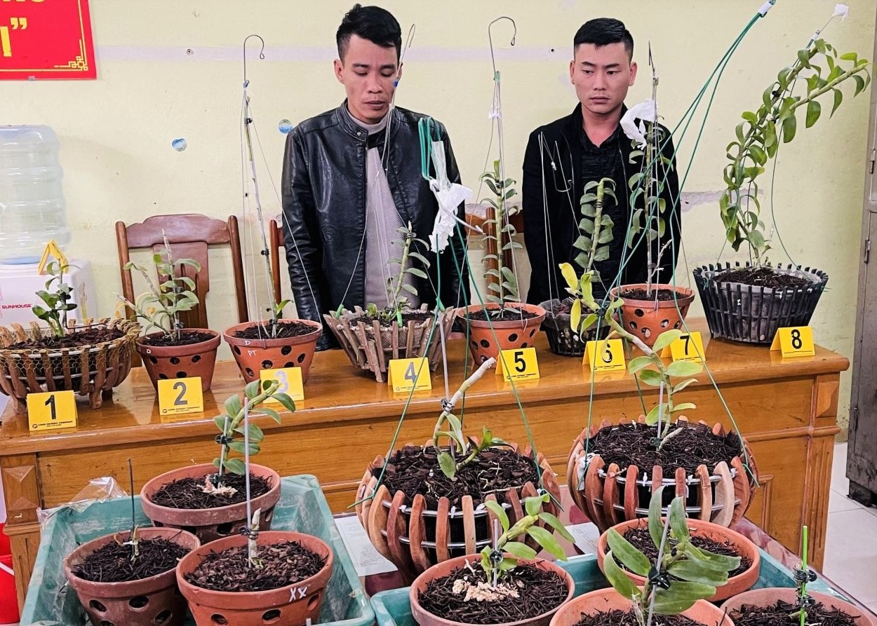 Hai ke trom lan dot bien bi bat hinh anh