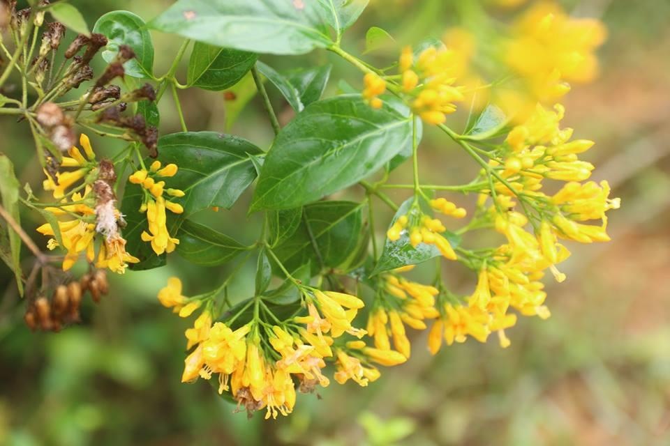 Cap vo chong nguy kich nghi uong nuoc la ngon hinh anh