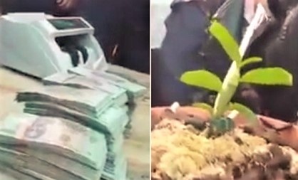 lan dot bien tien ty anh 1