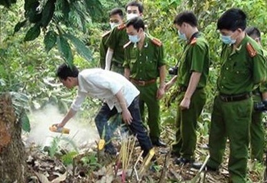 Thi the nguoi dan ong trong rung thong voi nhieu vet dam hinh anh