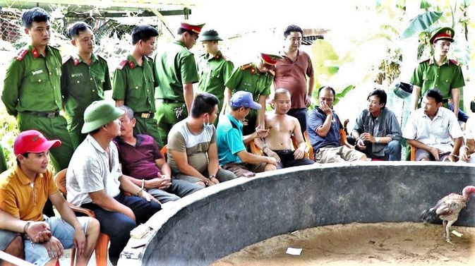 100 canh sat bao vay soi ga hinh anh