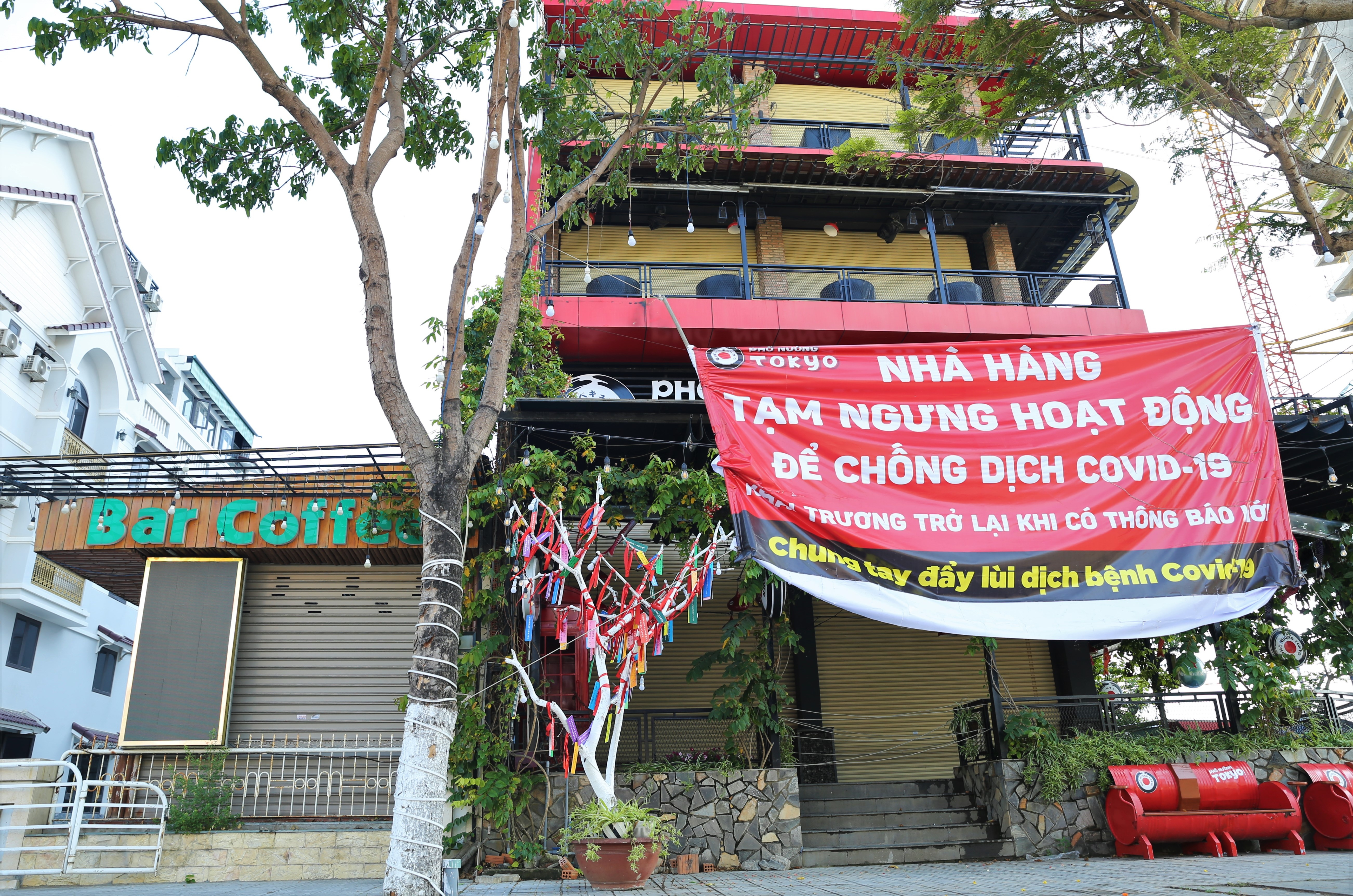 dich Covid-19 o Da Nang anh 12