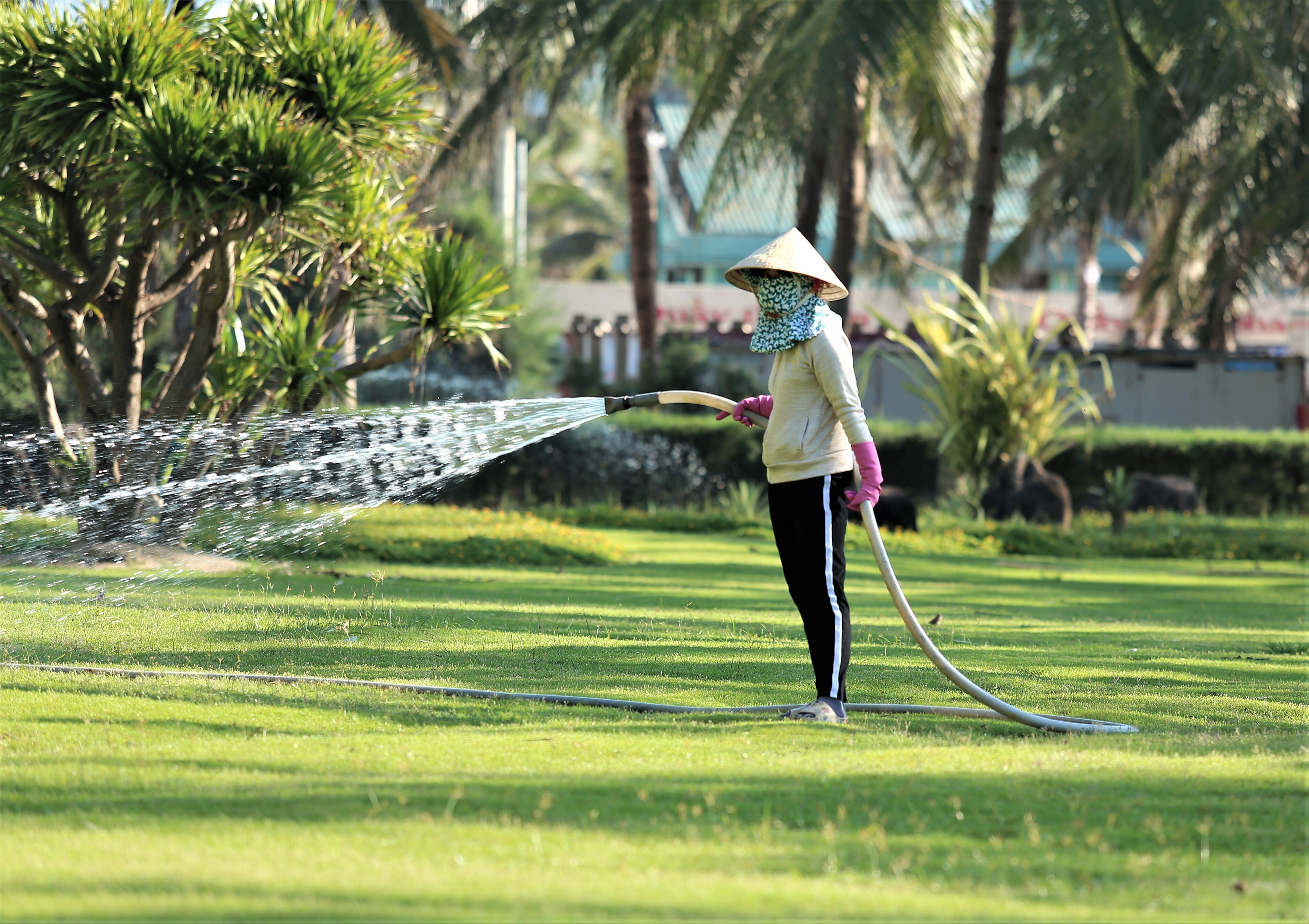 dich Covid-19 o Da Nang anh 11