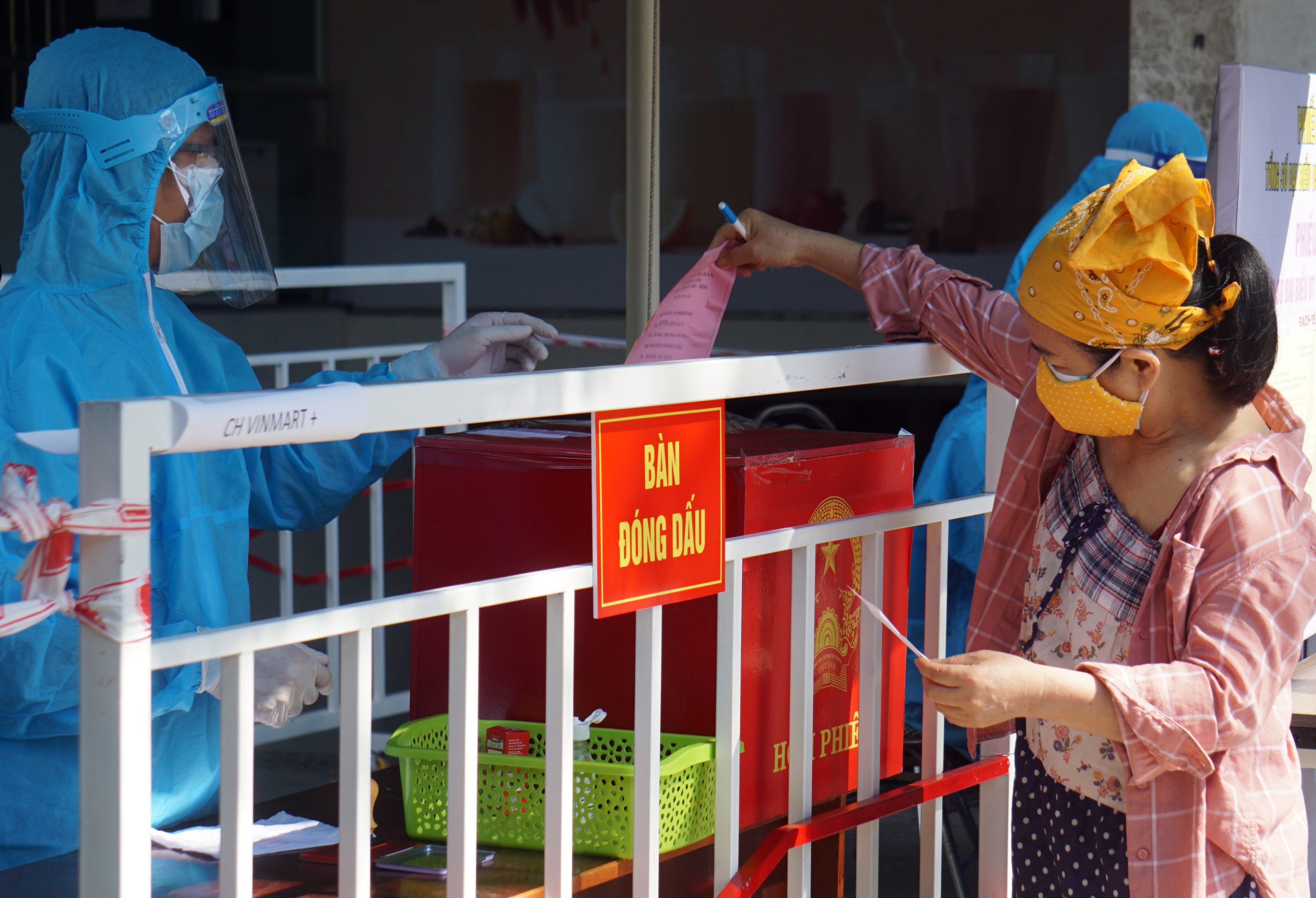 bau cu trong khu cach ly anh 10