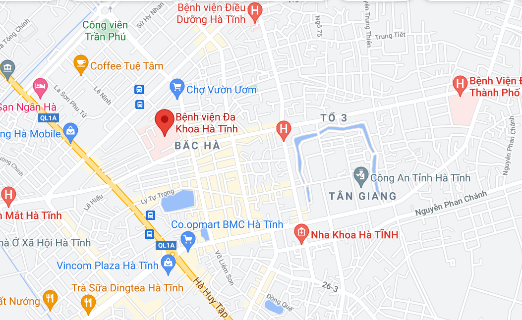 Covid-19 o Ha Tinh anh 13