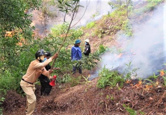 Thi the nguoi dan ong trong vuon keo hinh anh