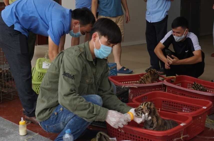 buôn bán động vật hoang dã ảnh 2 buon ban dong vat hoang da anh 2