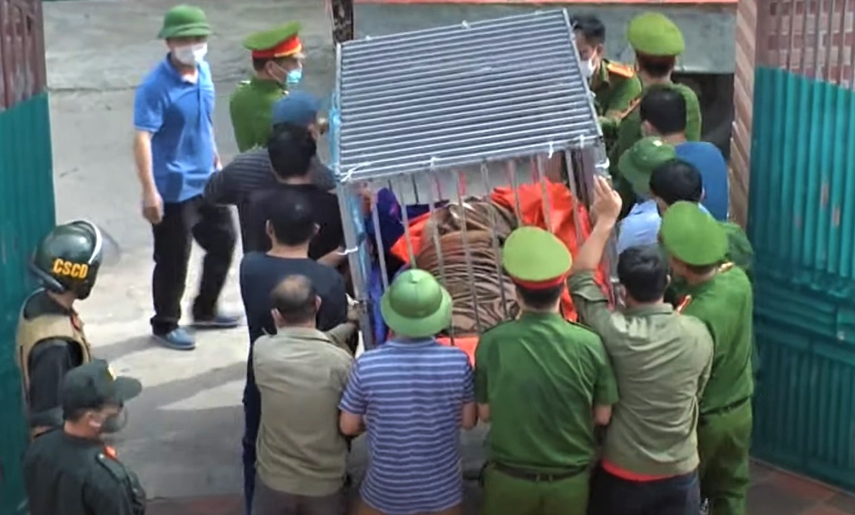 Gia dinh mot cong an vien nuoi nhot 3 con ho hinh anh