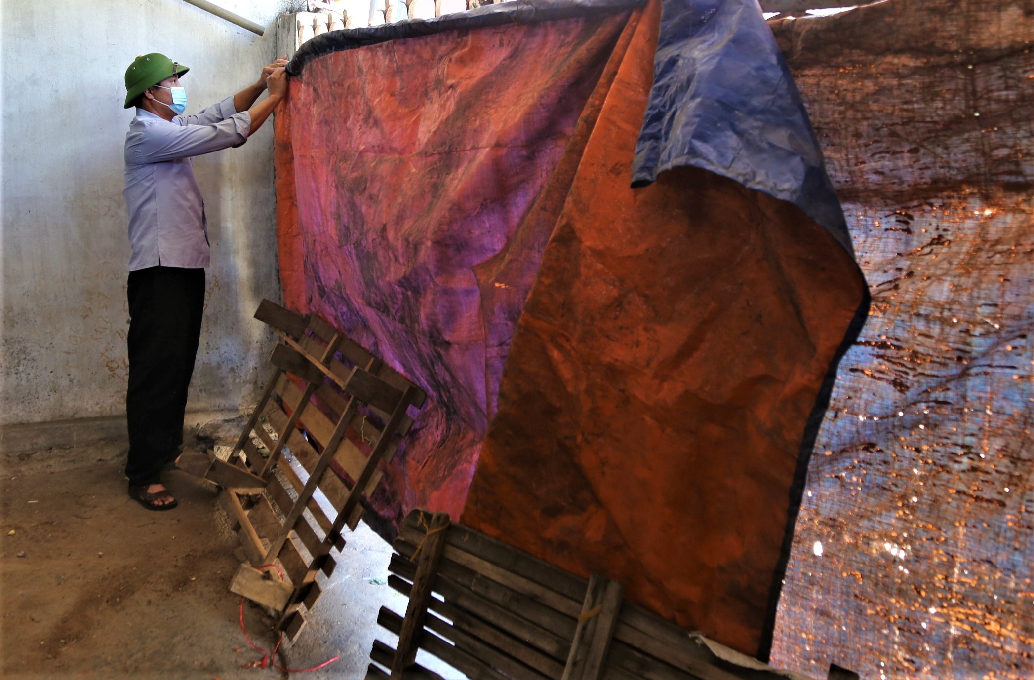 Covid-19 o Nghe An anh 10