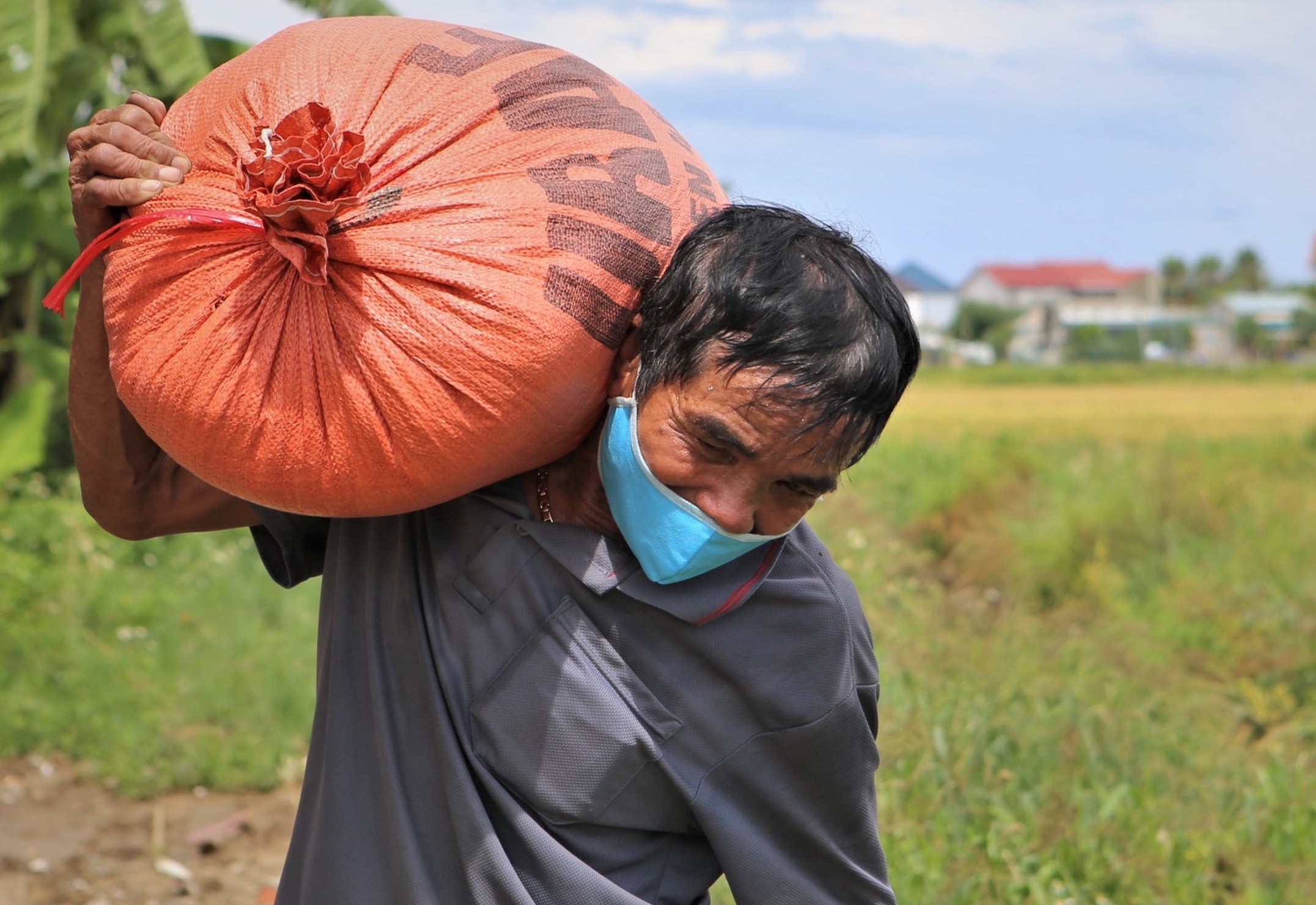 Canh neo thuyen, gat lua chay bao so 5 hinh anh