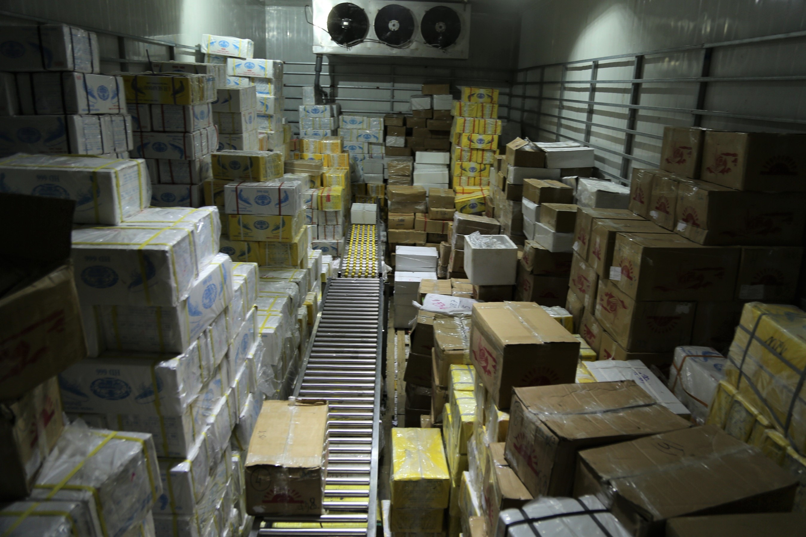 hai san ton kho do dich benh anh 3