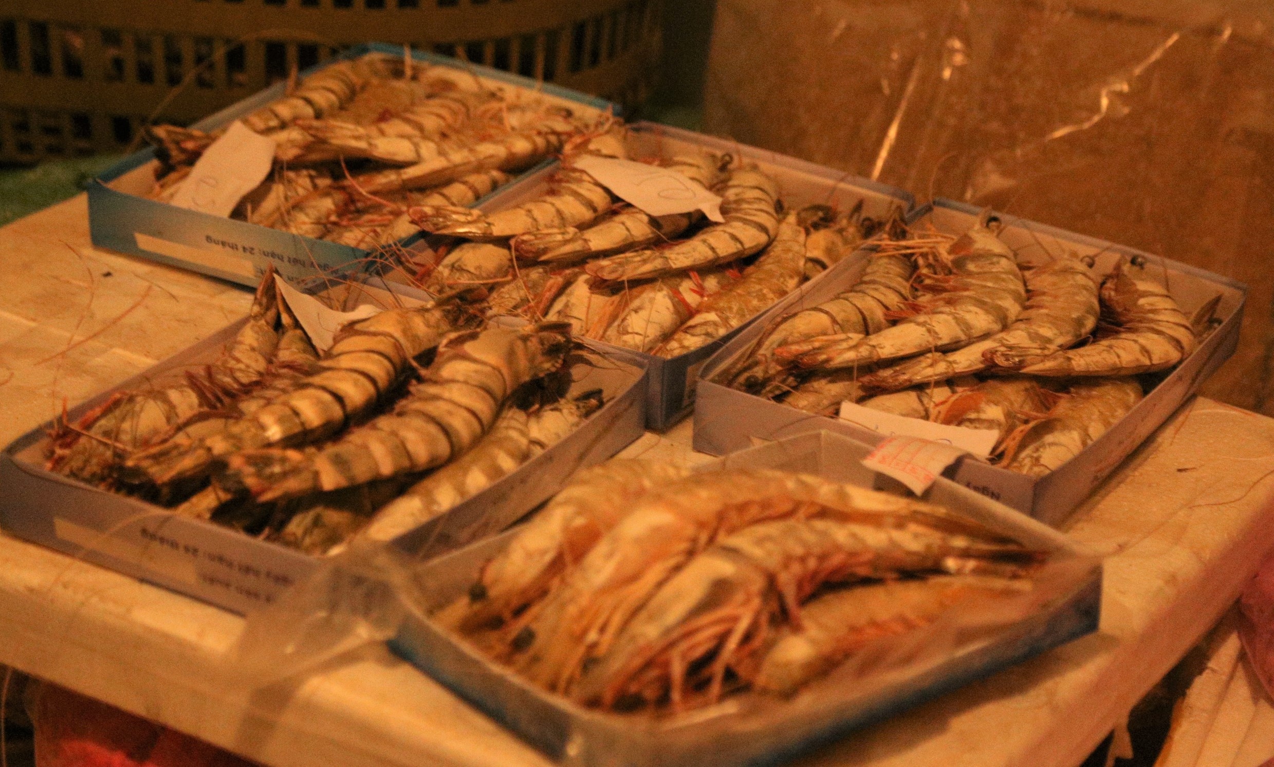 hai san ton kho do dich benh anh 2