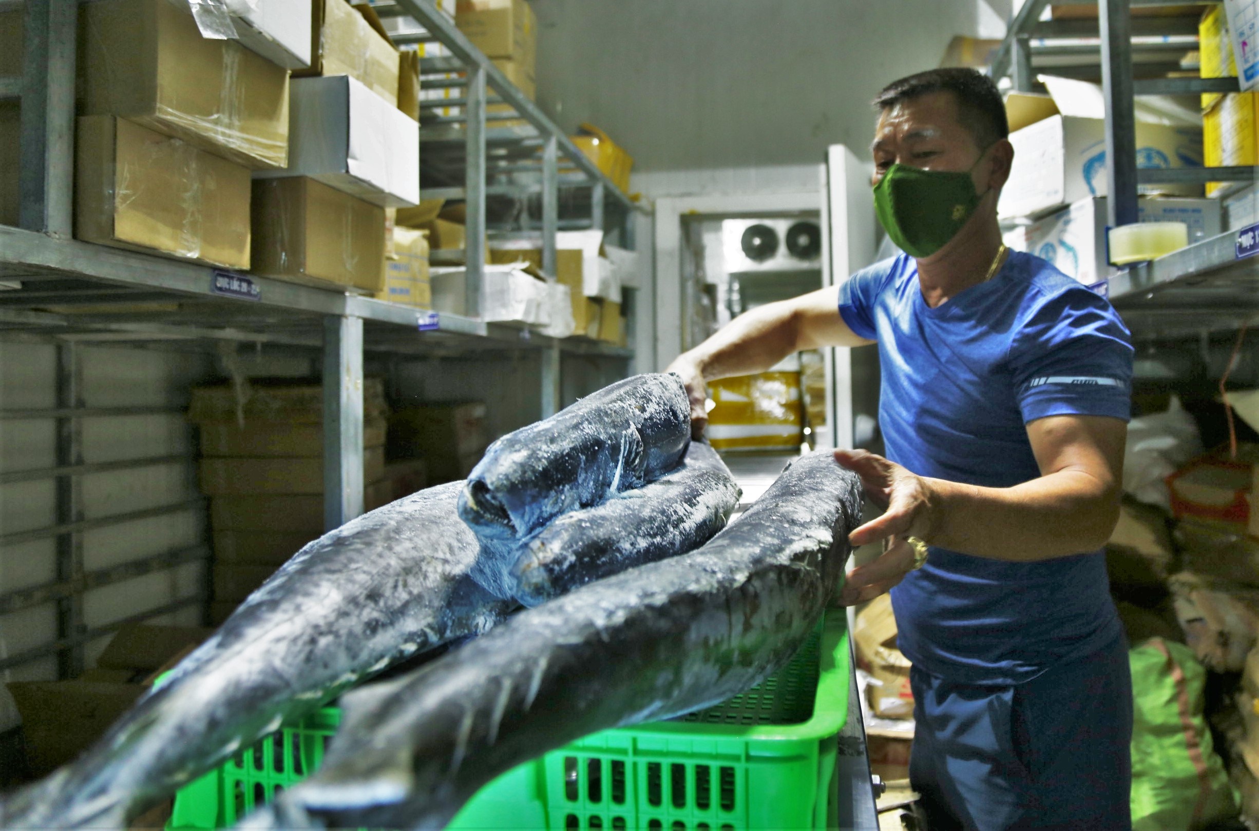 hai san ton kho do dich benh anh 1