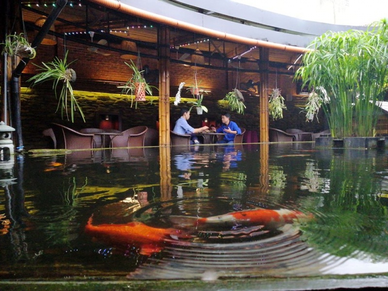 Ha Tinh cho phep quan an via he, phong gym hoat dong hinh anh