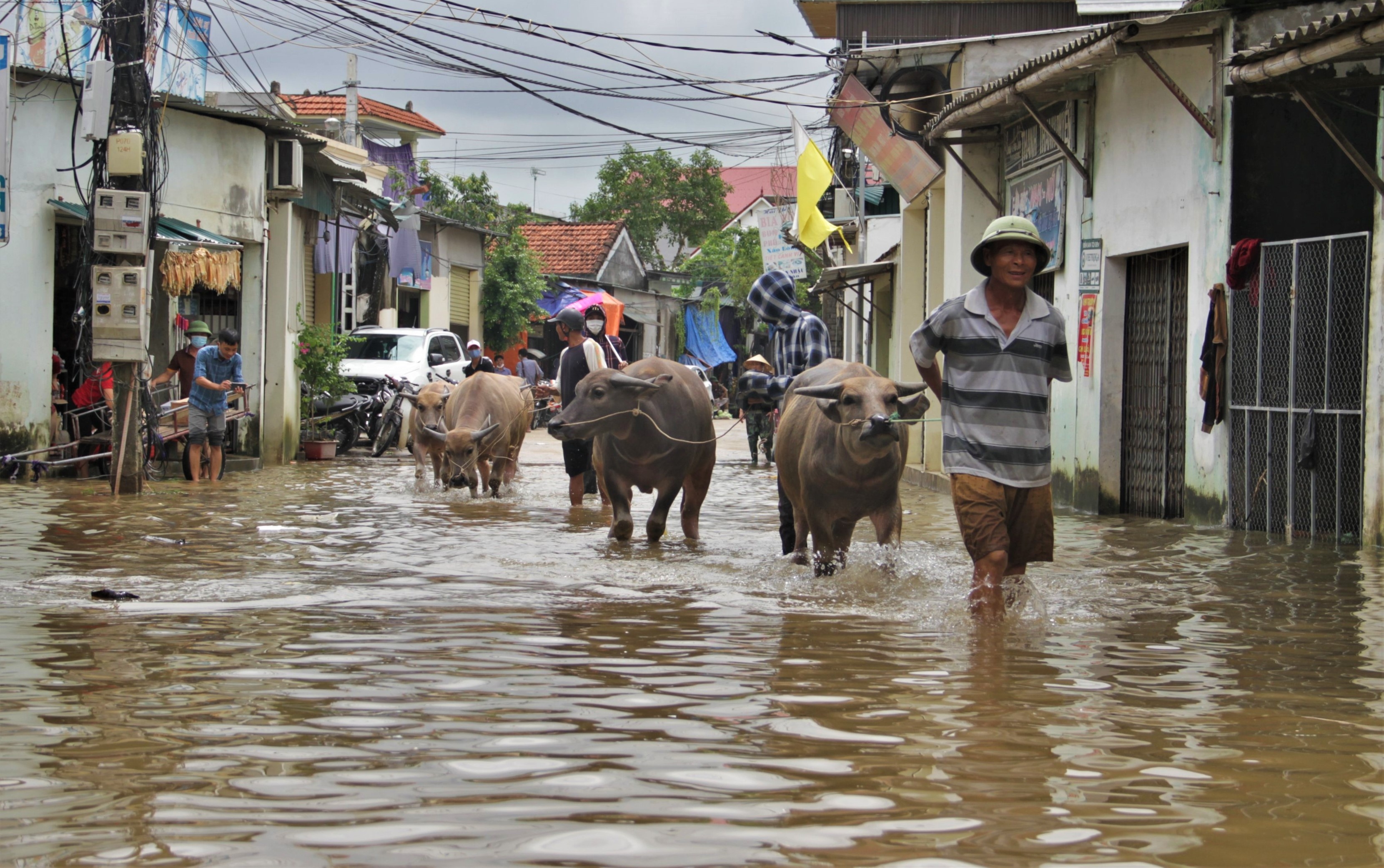 mua lu o Nghe An anh 8