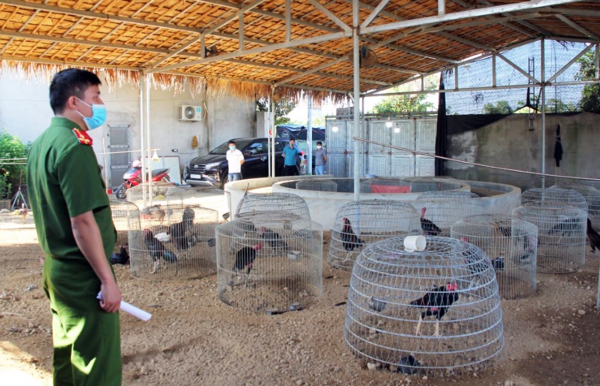 Soi bac trong trai ga hinh anh