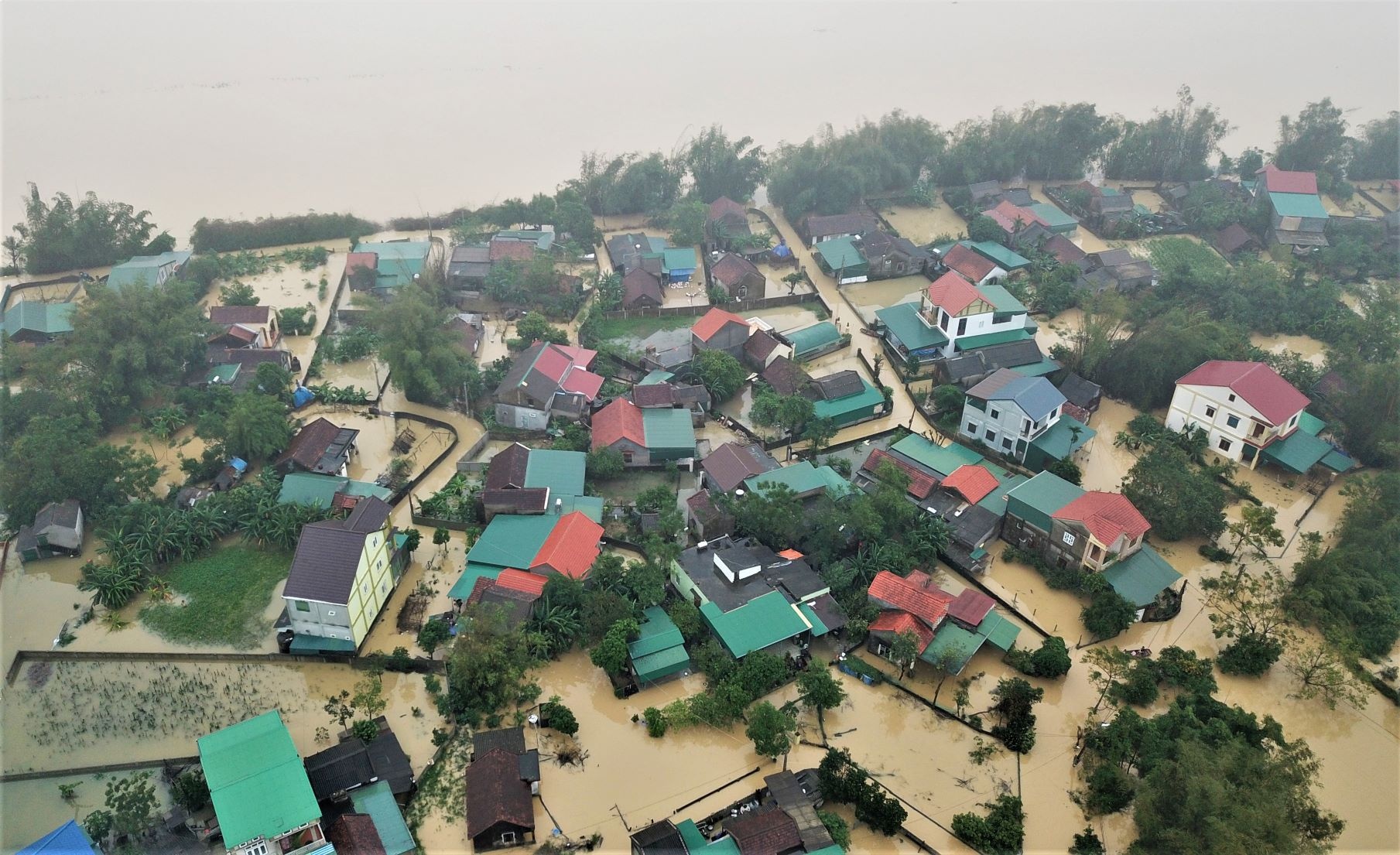 bao cao viec tu thien cua Thuy Tien anh 2