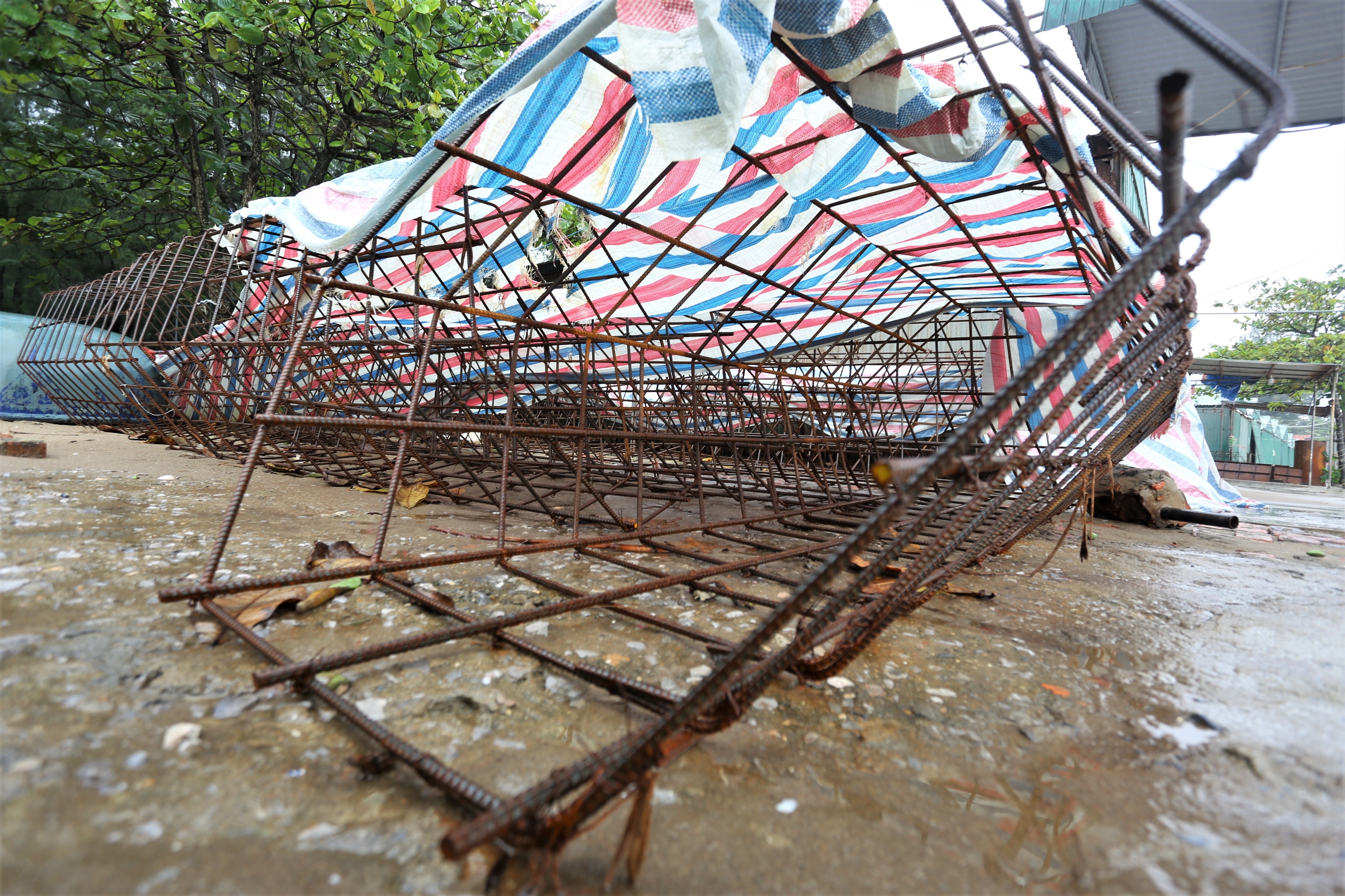 ke bien Cua Lo gay vun anh 10