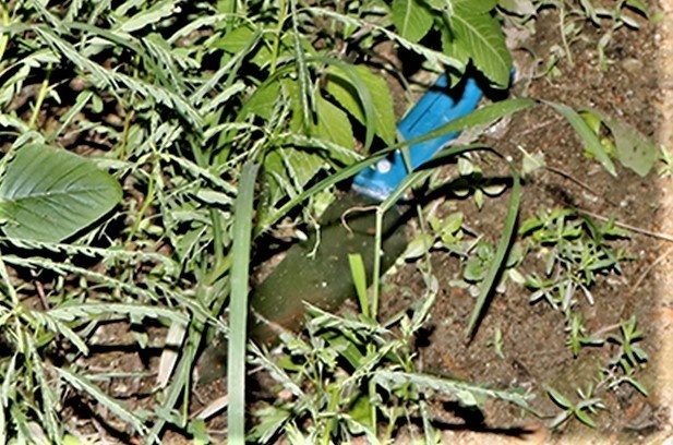 Nguoi dan ong bi dam tu vong o quan nuoc via he hinh anh