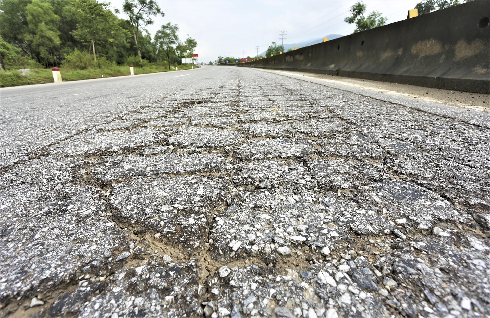 quoc lo 1 bong troc anh 2