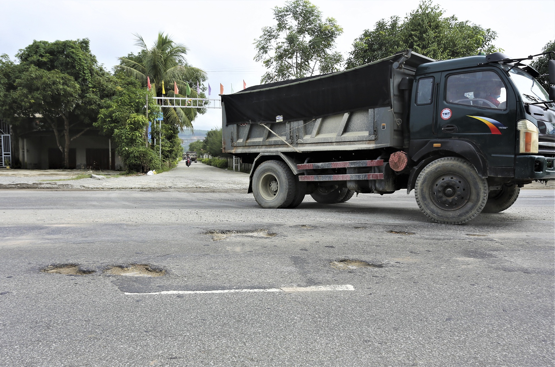 quoc lo 1 bong troc anh 5