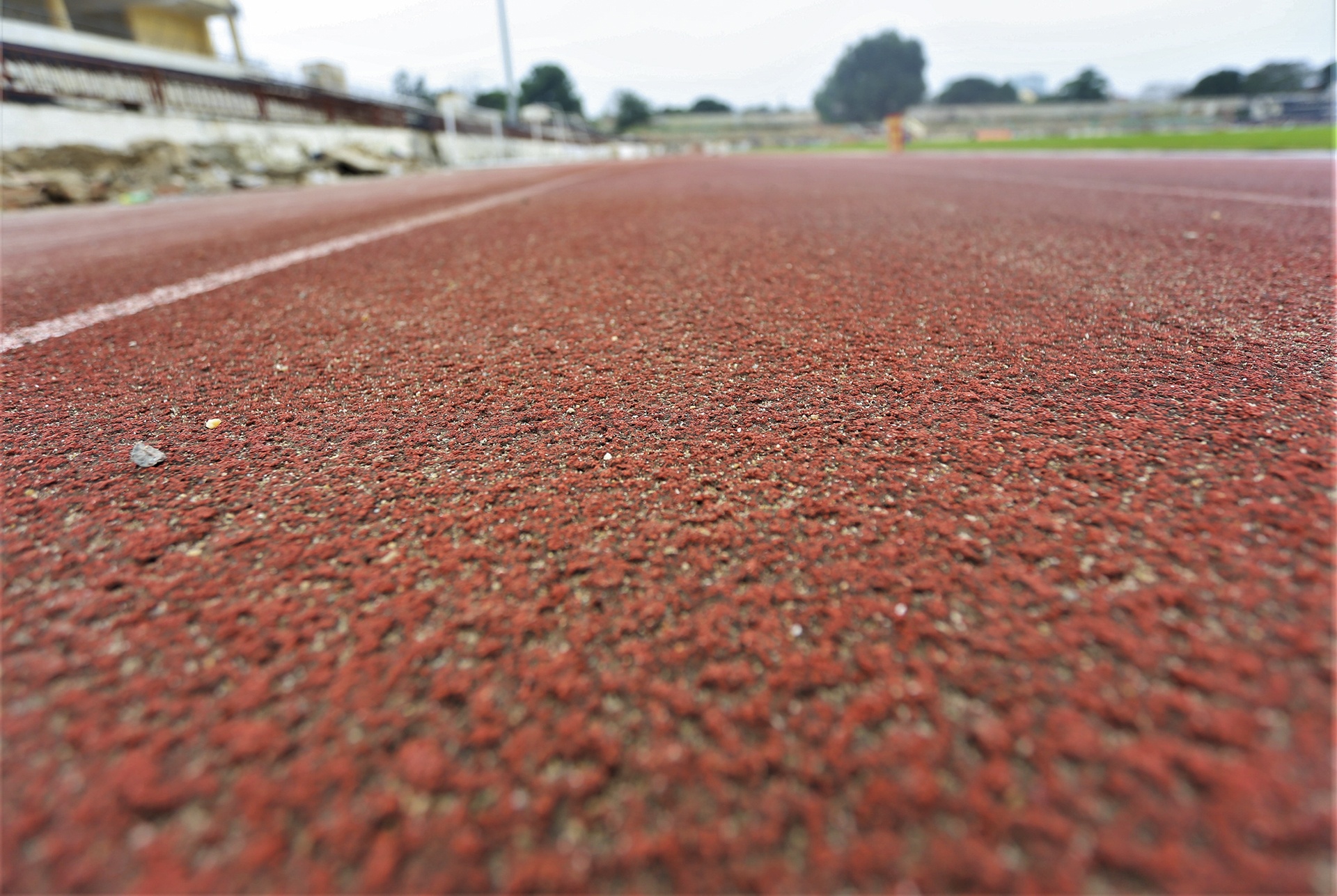 san van dong Vinh cai tao anh 10