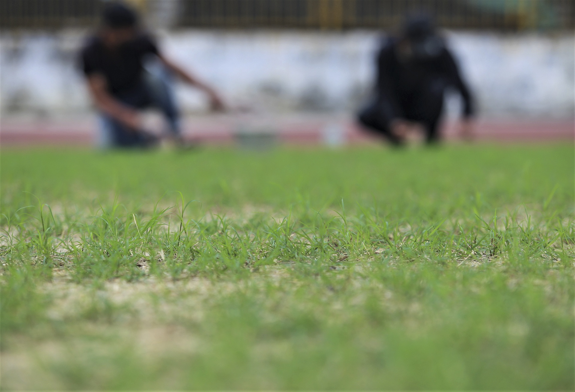 san van dong Vinh cai tao anh 4