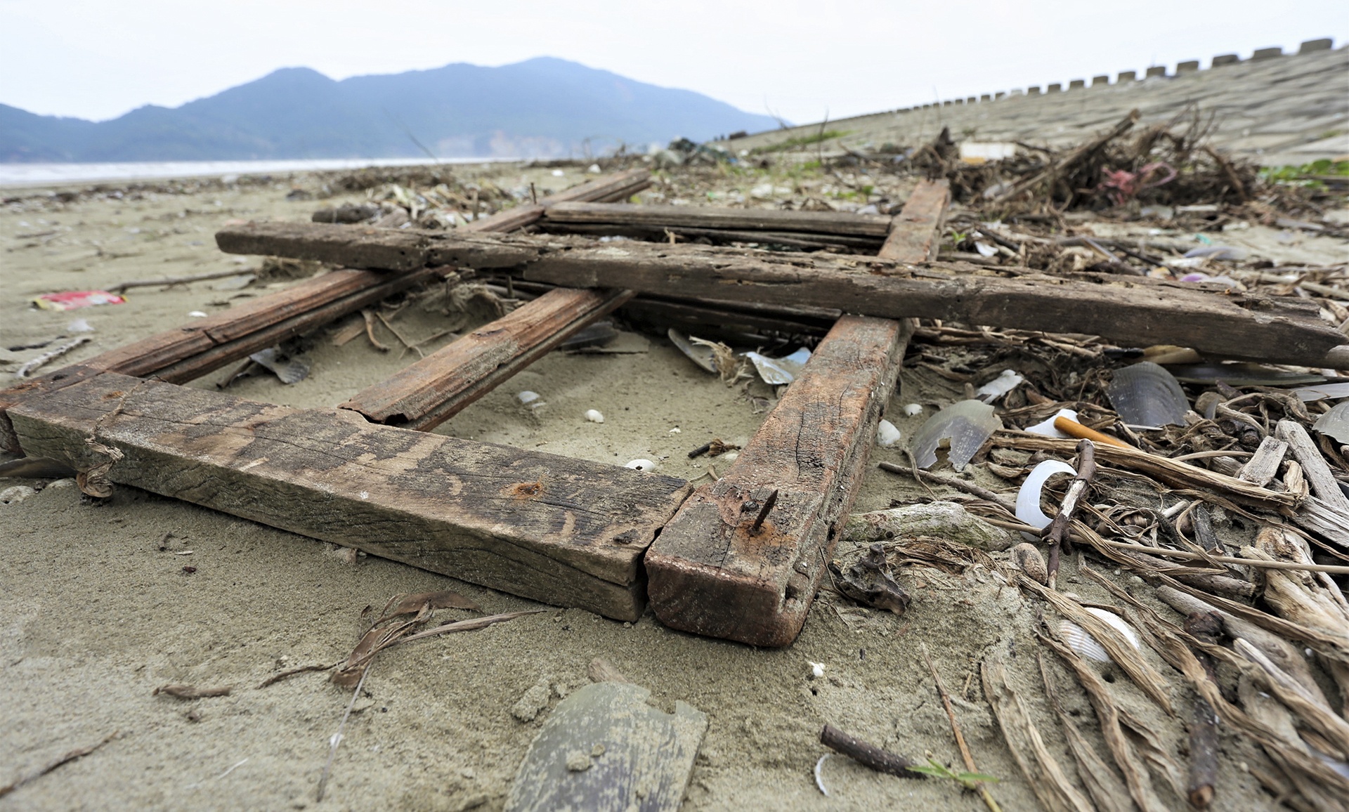 bien du lich ngap rac anh 5