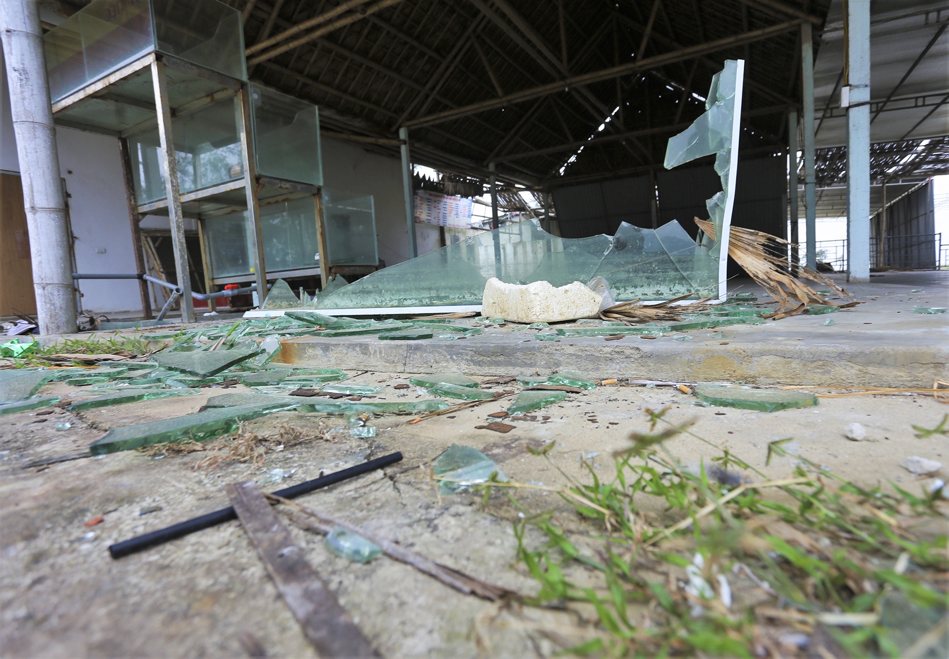 bien du lich ngap rac anh 3