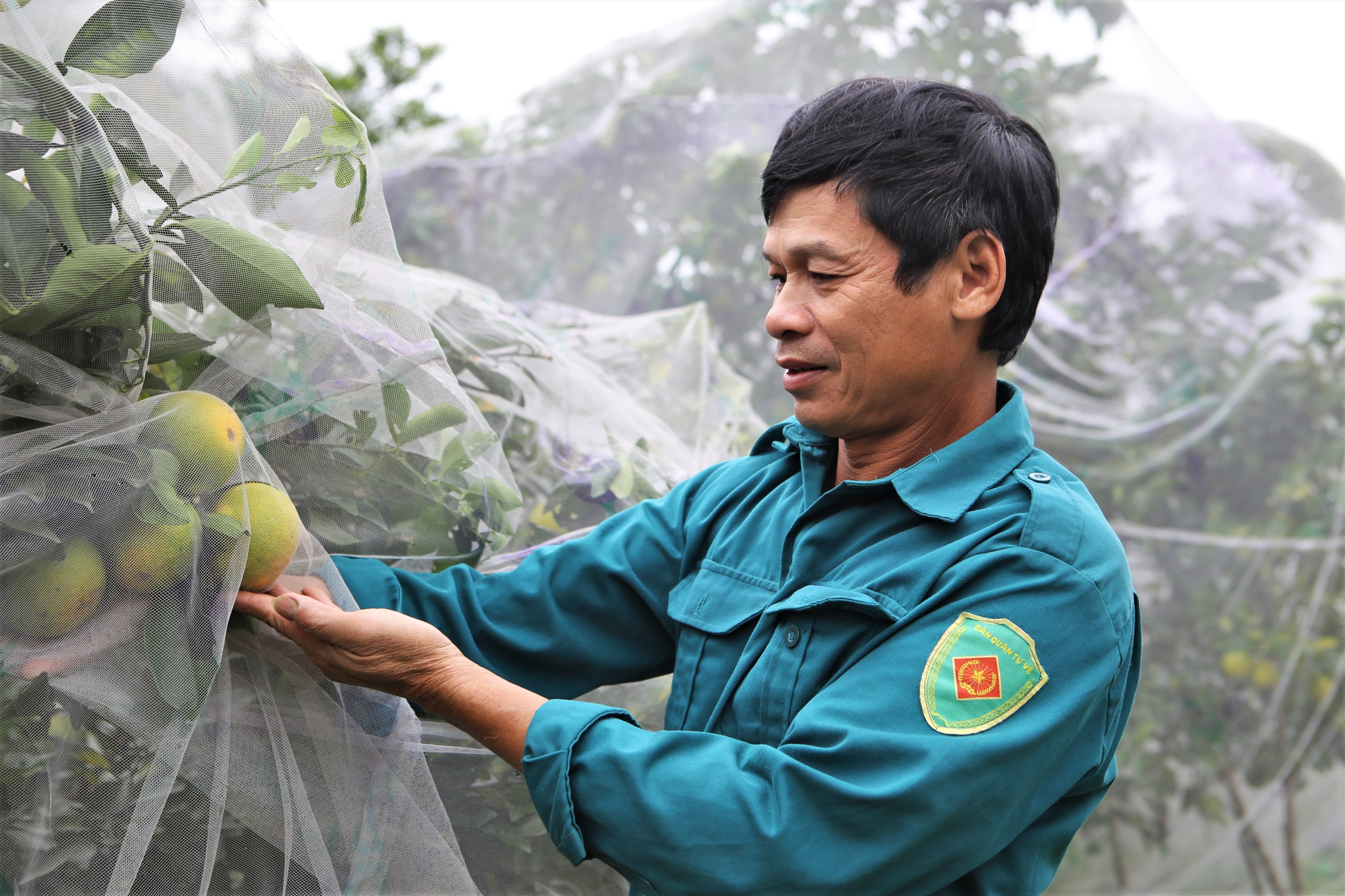 Nong dan mac man cho cam dac san hinh anh