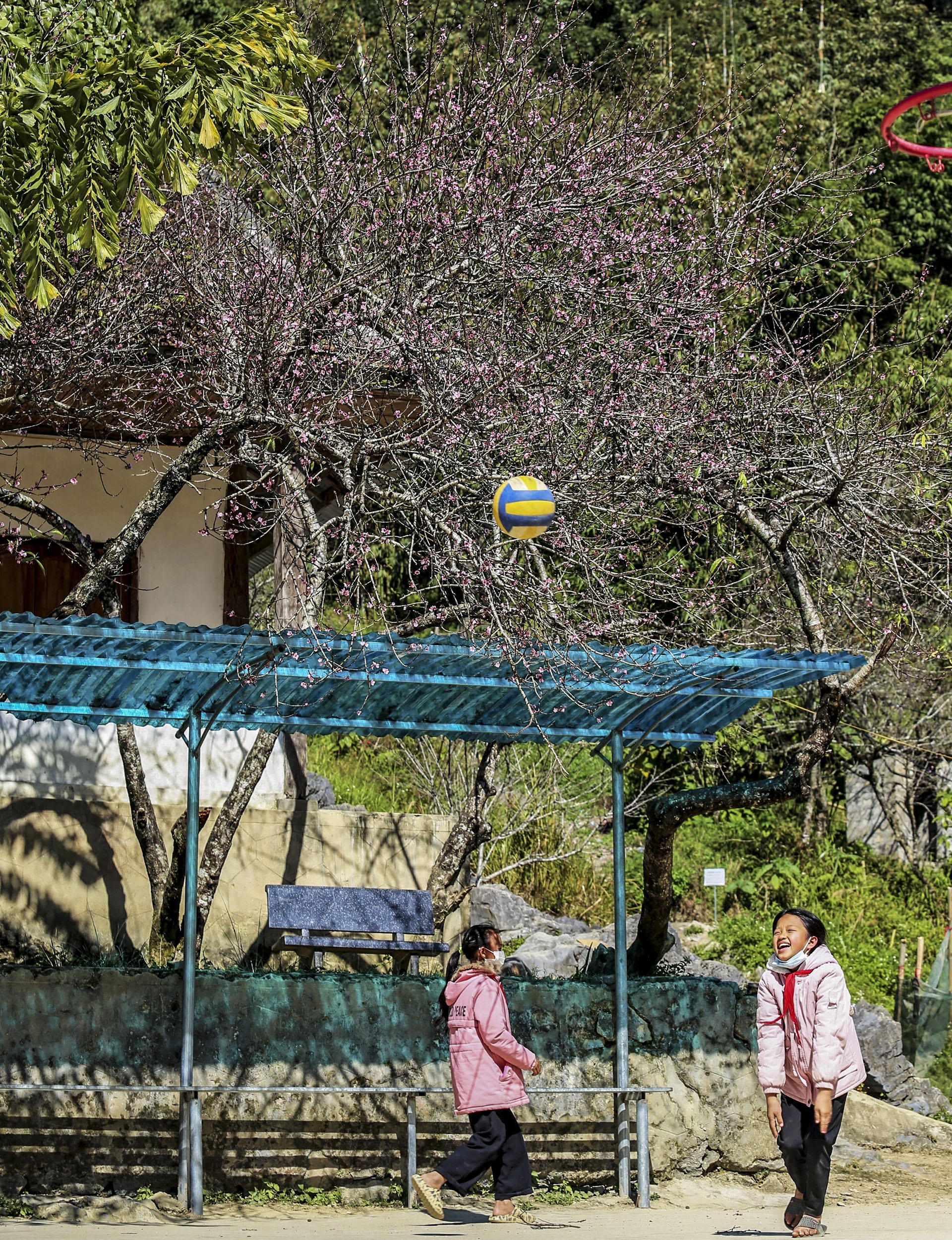 dan lo that thu vi dao no ro anh 6