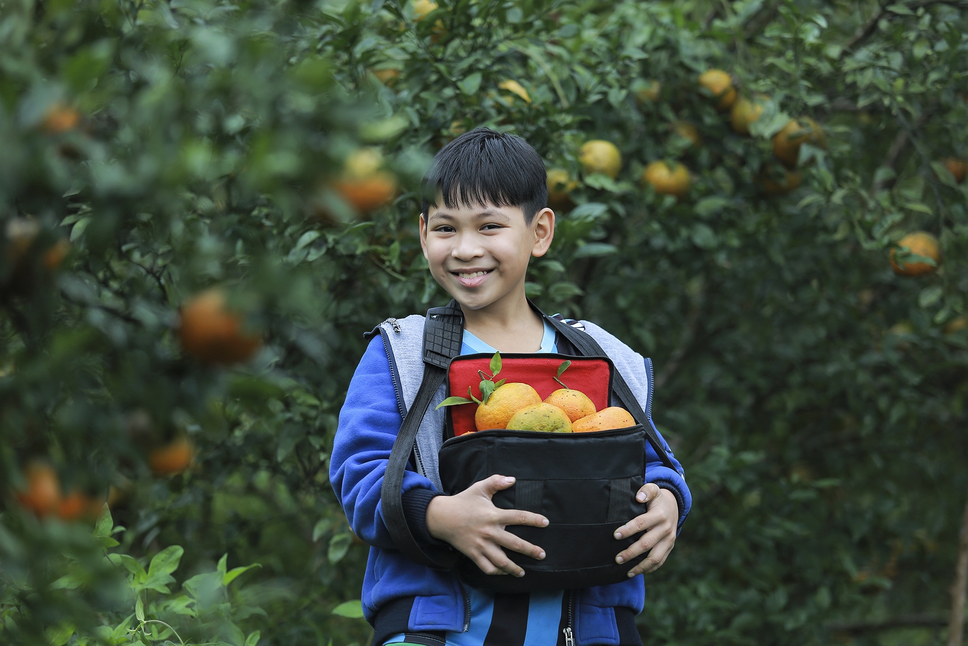 trong cam bu o Ha Tinh anh 6