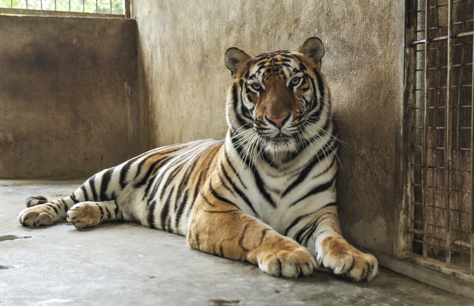 8 con ho o nghe an anh 1