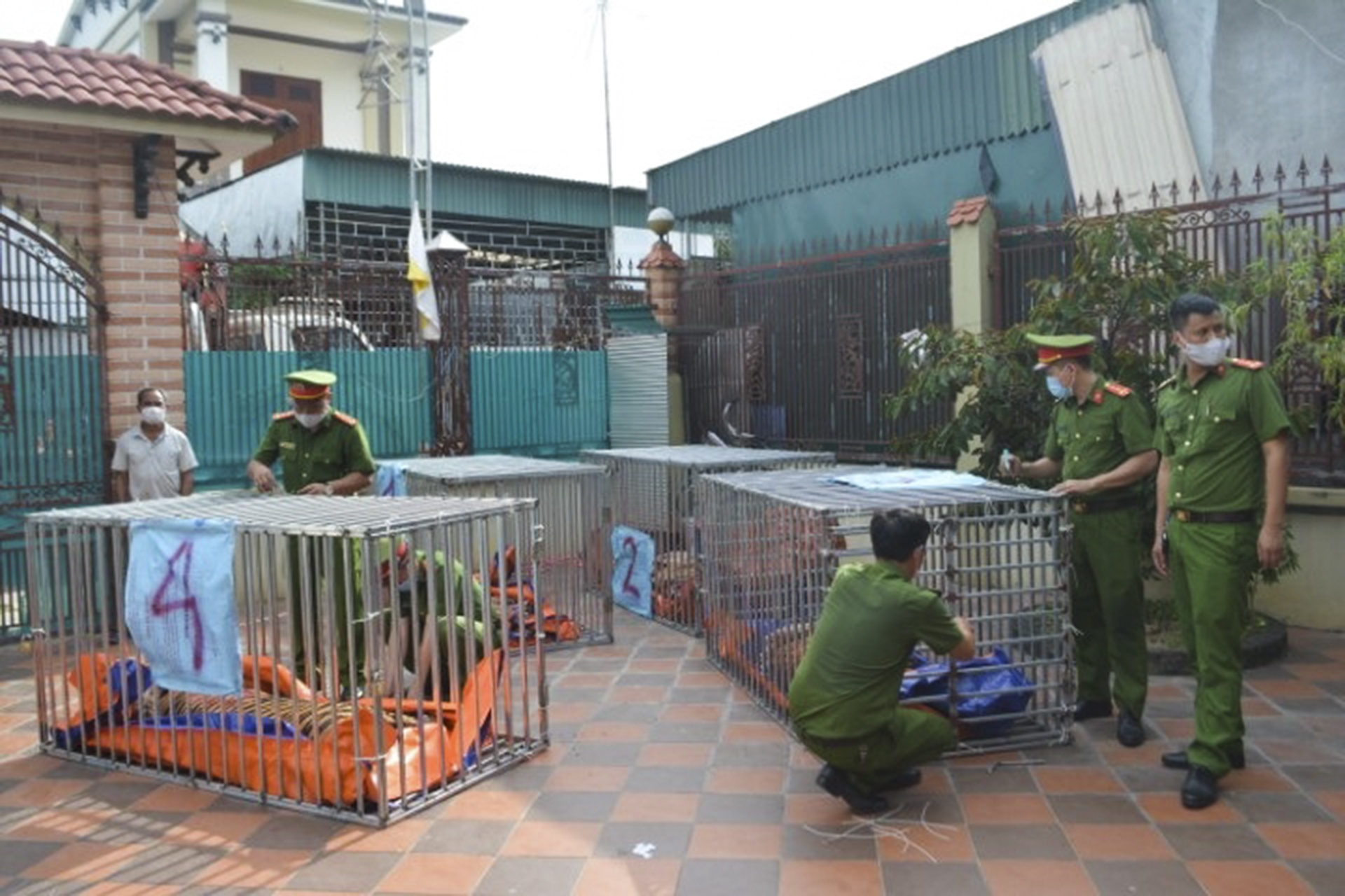 giai cuu dan ho o Nghe An anh 1