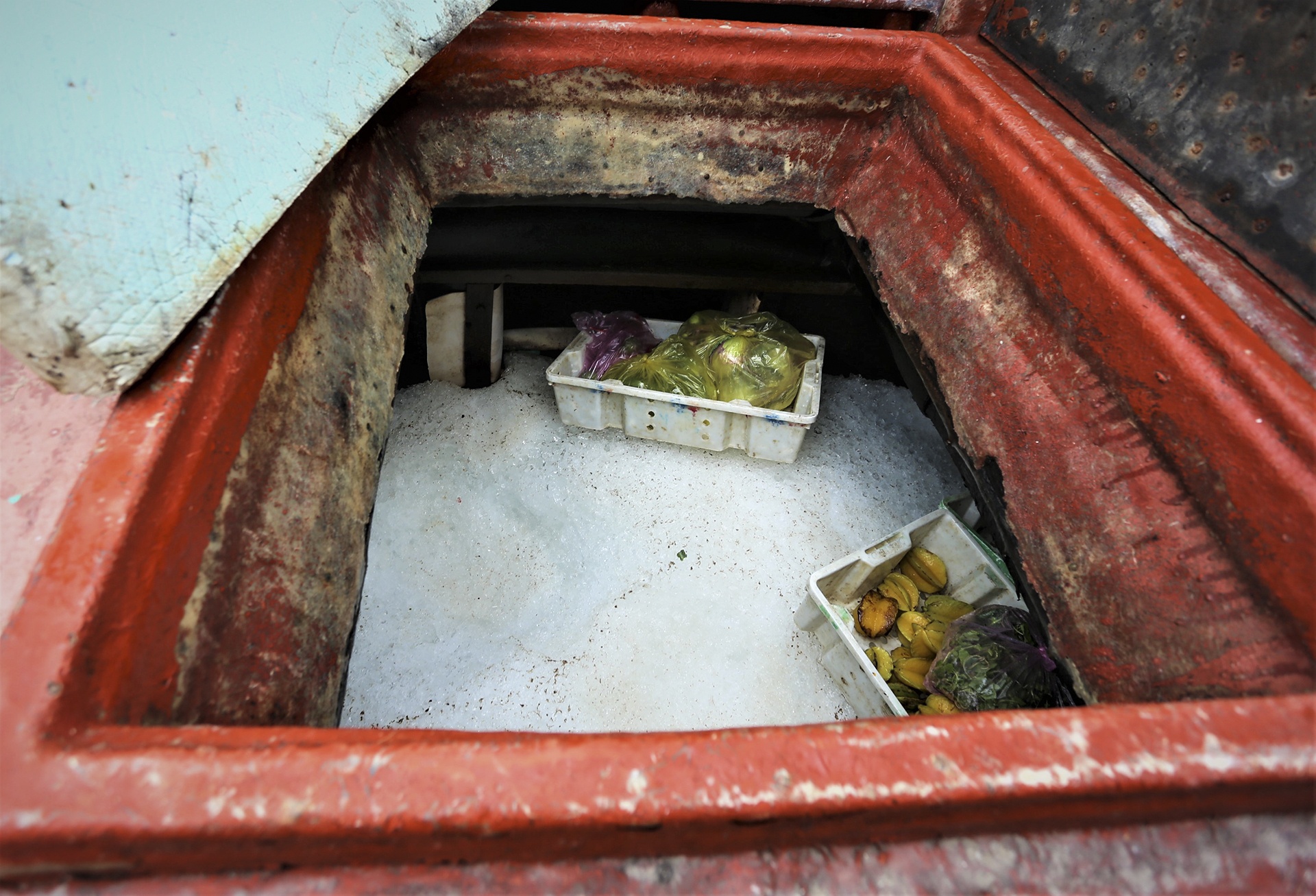 nghề biển thiếu lao động ảnh 5 nghe bien thieu lao dong anh 5